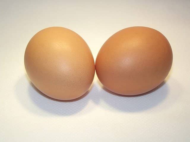 Dürfen Kaninchen Eier essen?