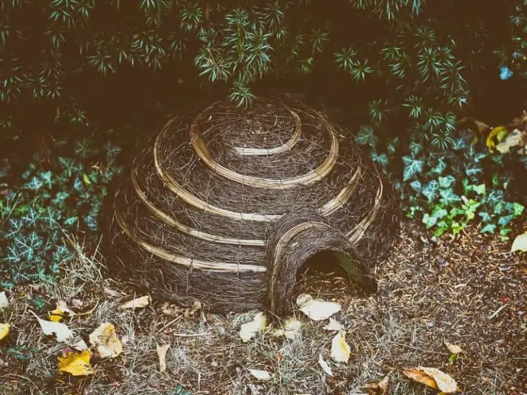 Wie sieht ein Igelnest aus?