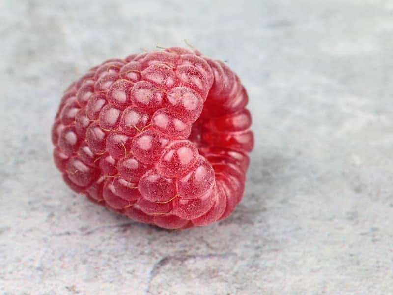 Dürfen Hamster Himbeeren essen?