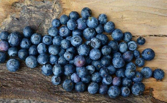 Dürfen Kaninchen Blaubeeren essen?