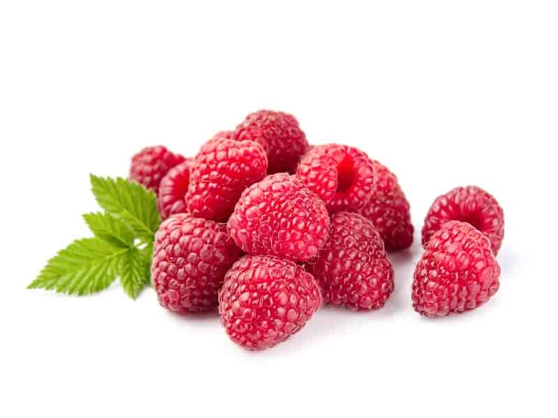 Dürfen Kaninchen Himbeeren essen?