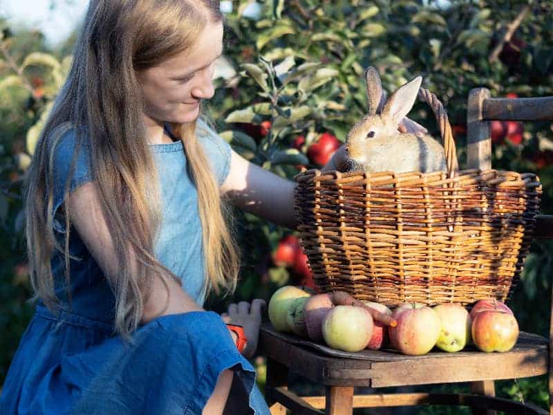 Kaninchen Äpfel und Mädchen