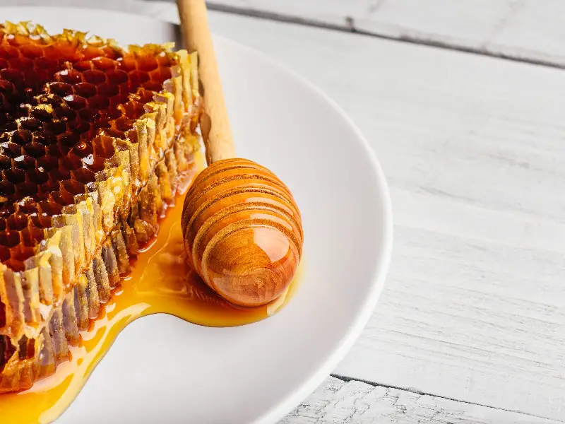 wie machen Bienen Honig
