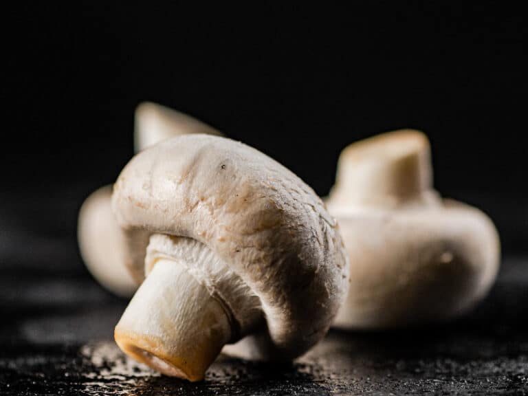 Dürfen Kaninchen Champignons essen?