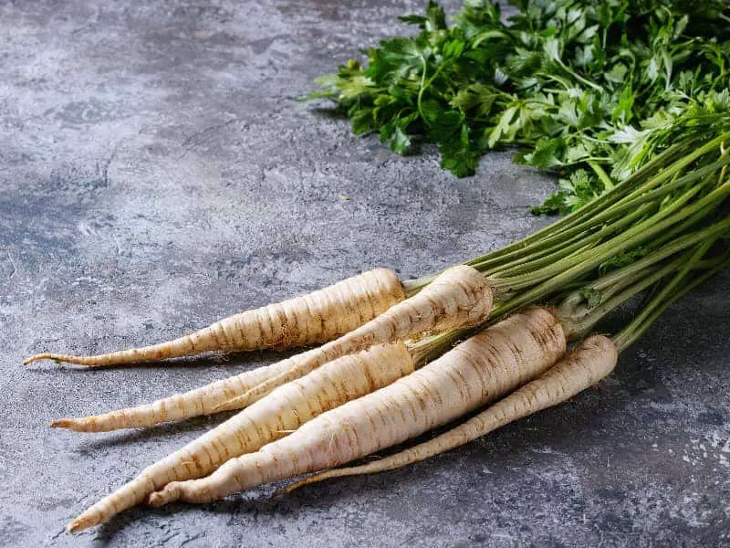 Dürfen Kaninchen Pastinaken essen?