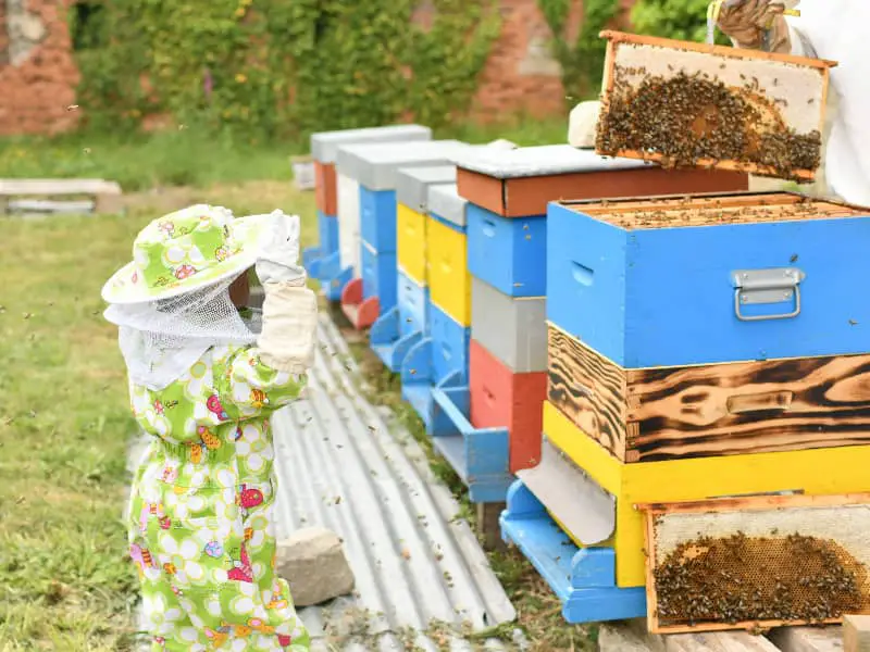 Bienen im Garten mit Kindern
